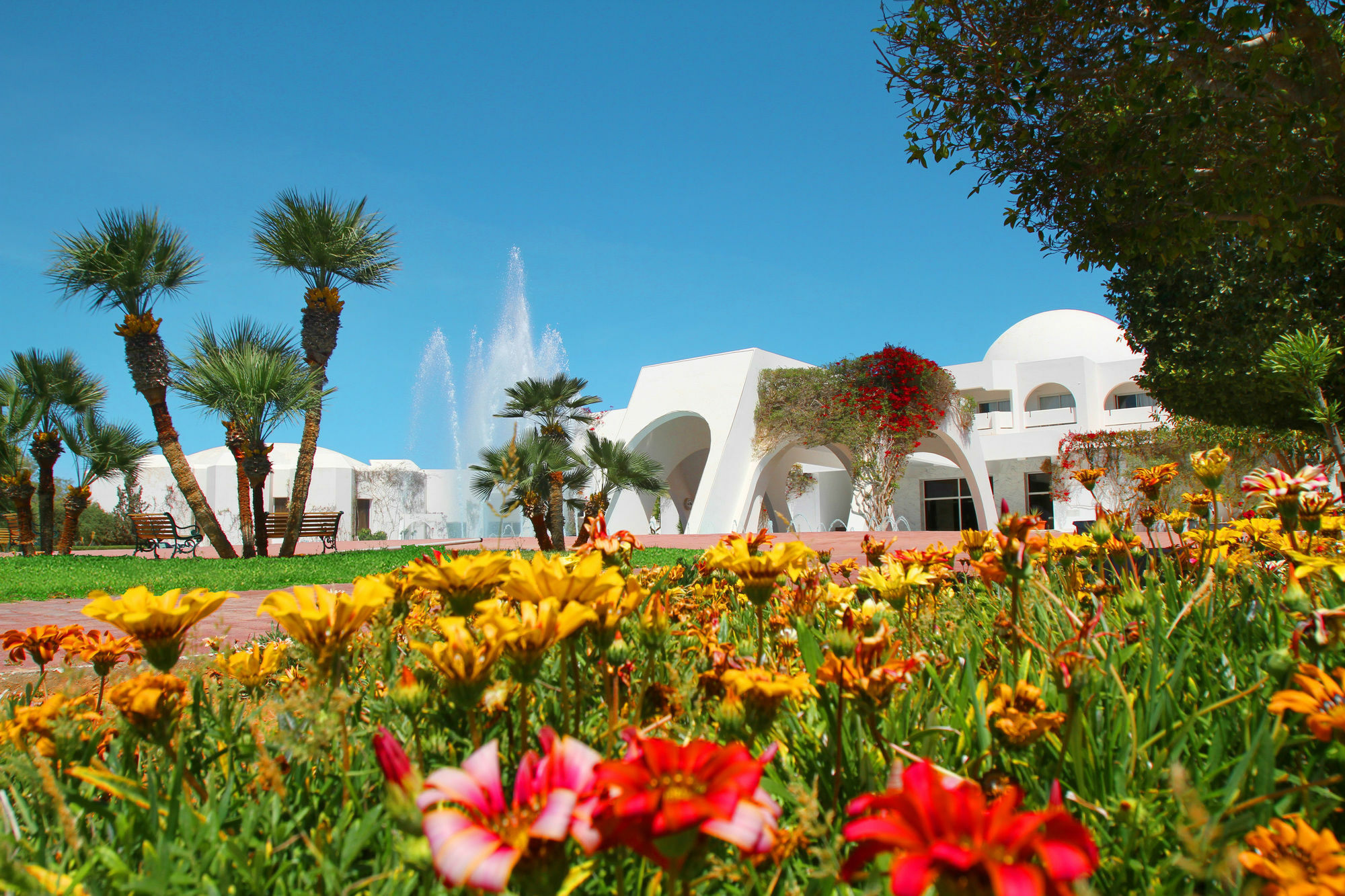 Djerba Plaza Thalasso & Spa Hotel Triffa Exterior photo